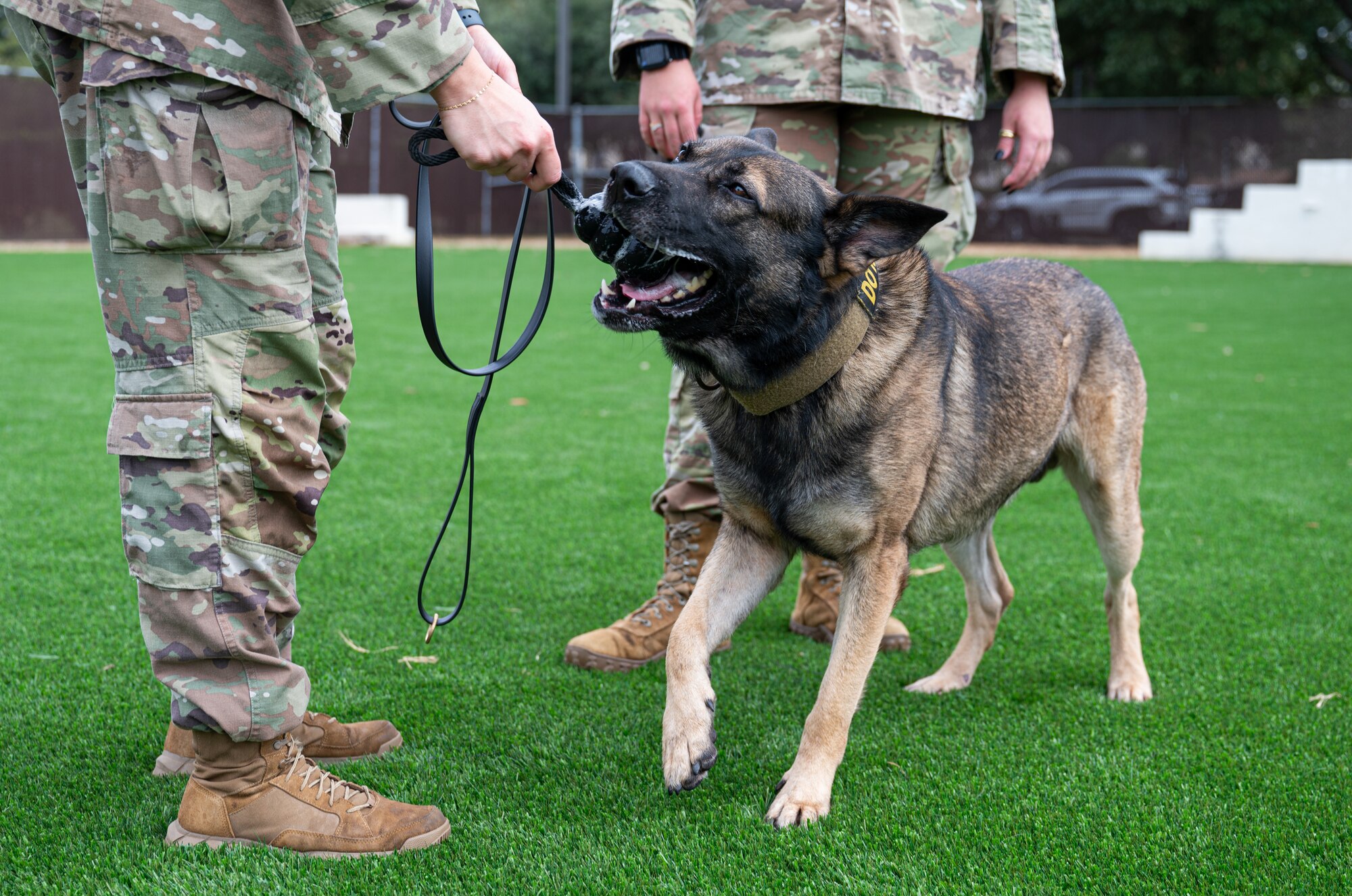Castro the MWD trains