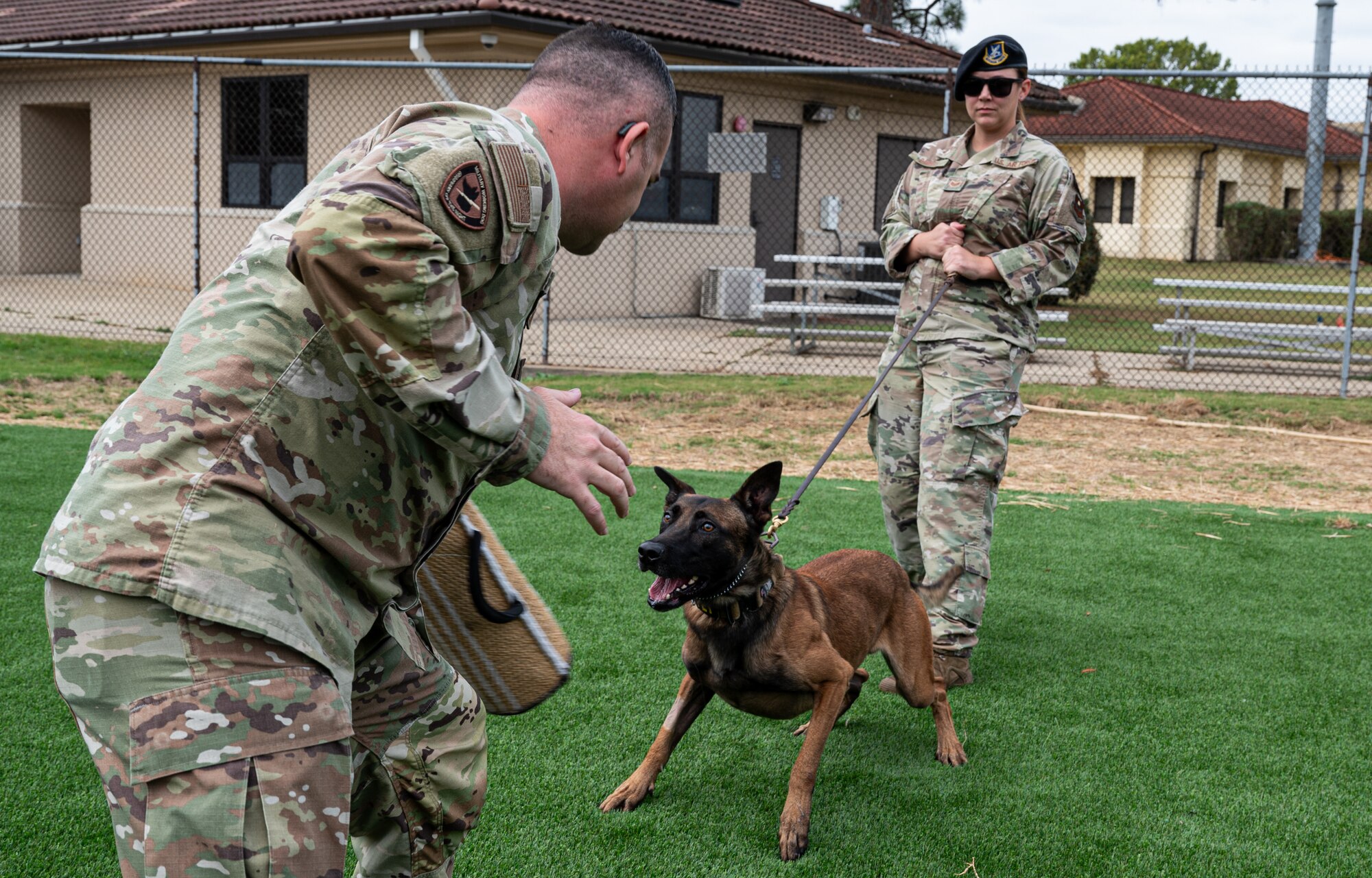 Kennel master trains MWDs
