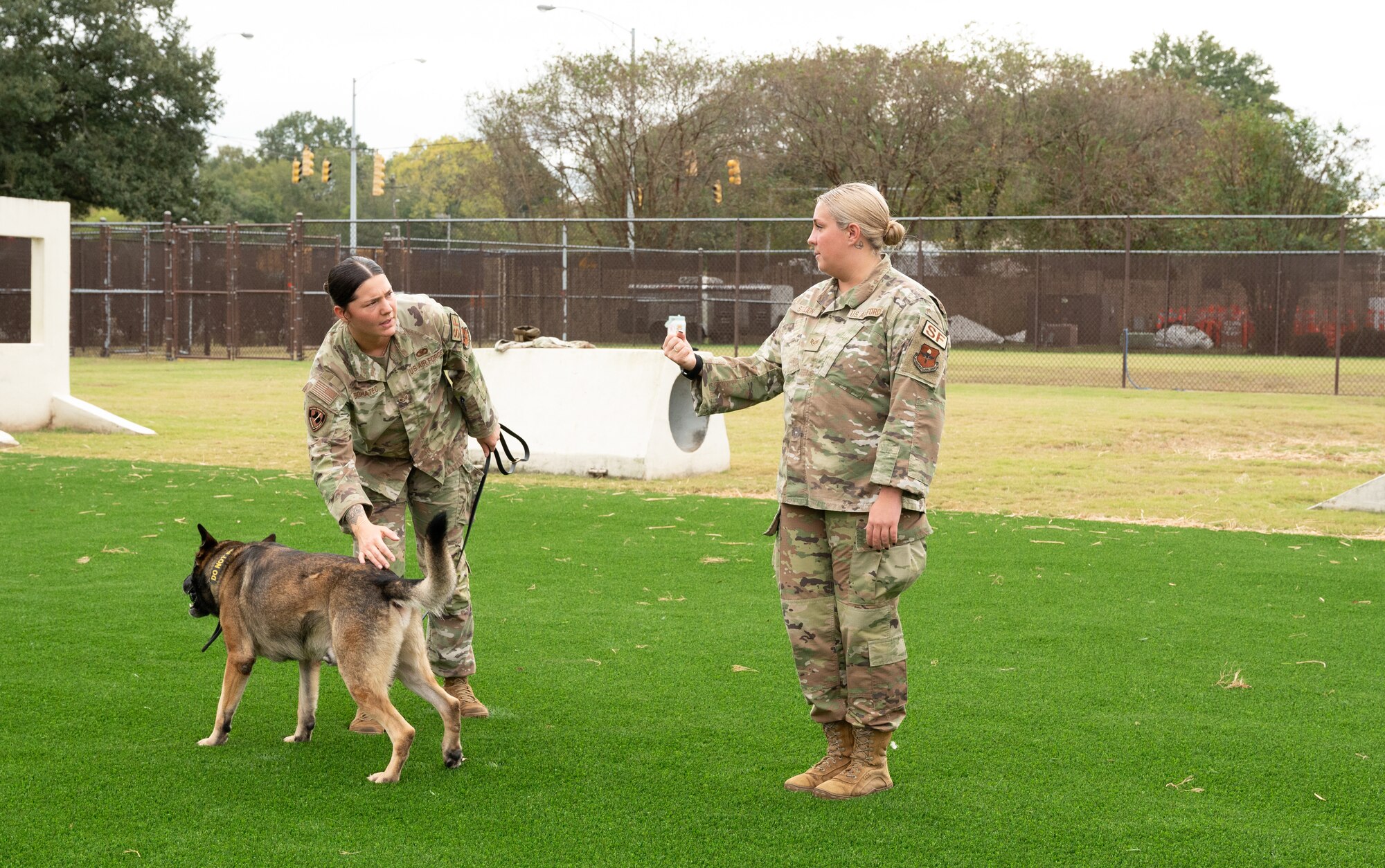 MWD trainer explains techniques.