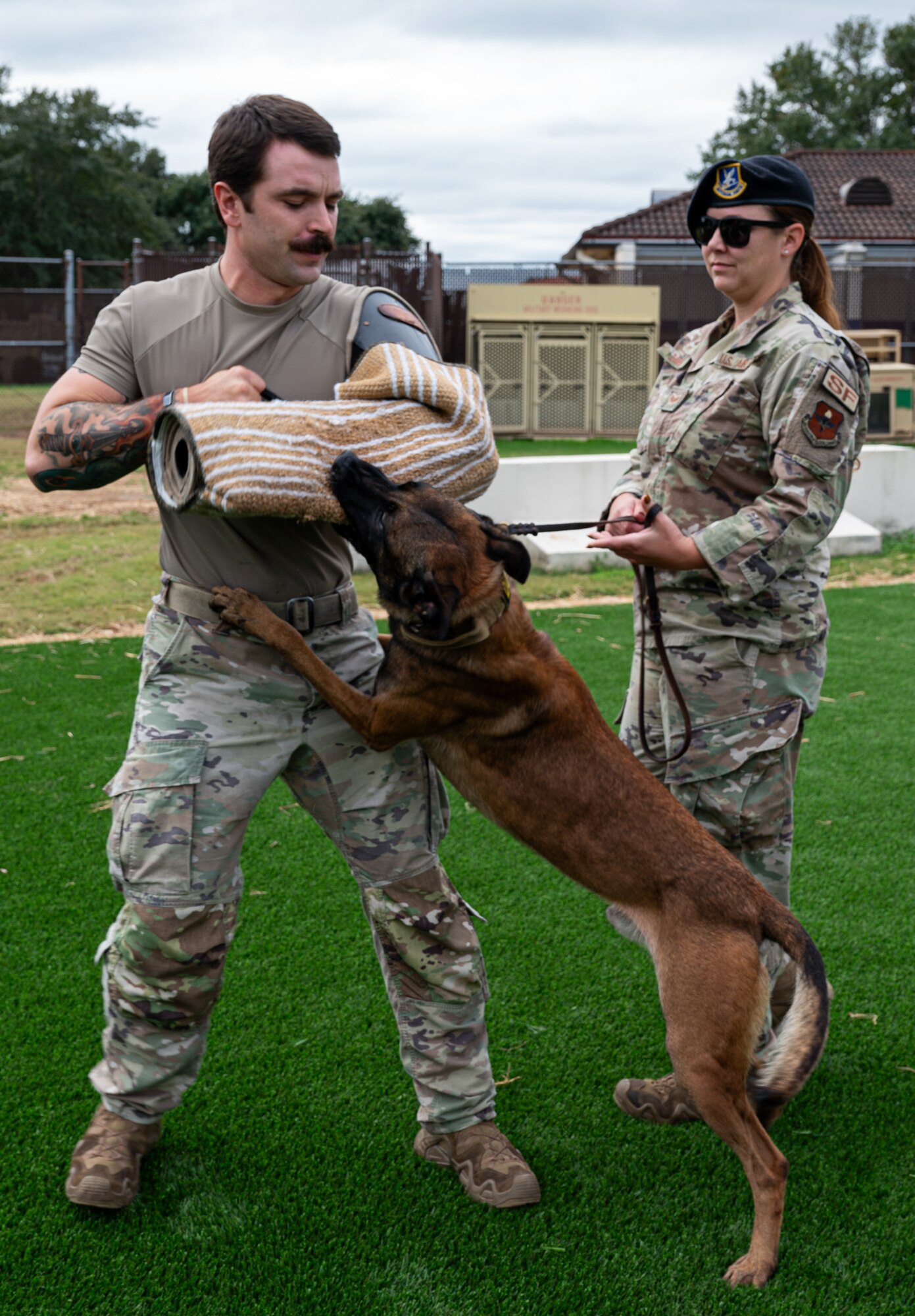 MWD bites trainer during training