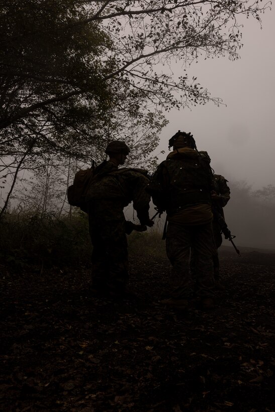 The Marines are forward deployed in the Indo-Pacific under the 4th Marines, 3d Marine Division as part of the Unit Deployment Program. (U.S. Marine Corps photo by Lance Cpl. Kendrick Jackson)