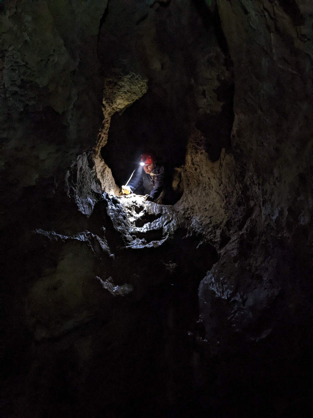 ERDC-CERL researcher, Aron Katz, in a cave wearing a helmet lamp, sampling for cave springtails in a drip pool, in El Capitan cave on Prince of Wales Island