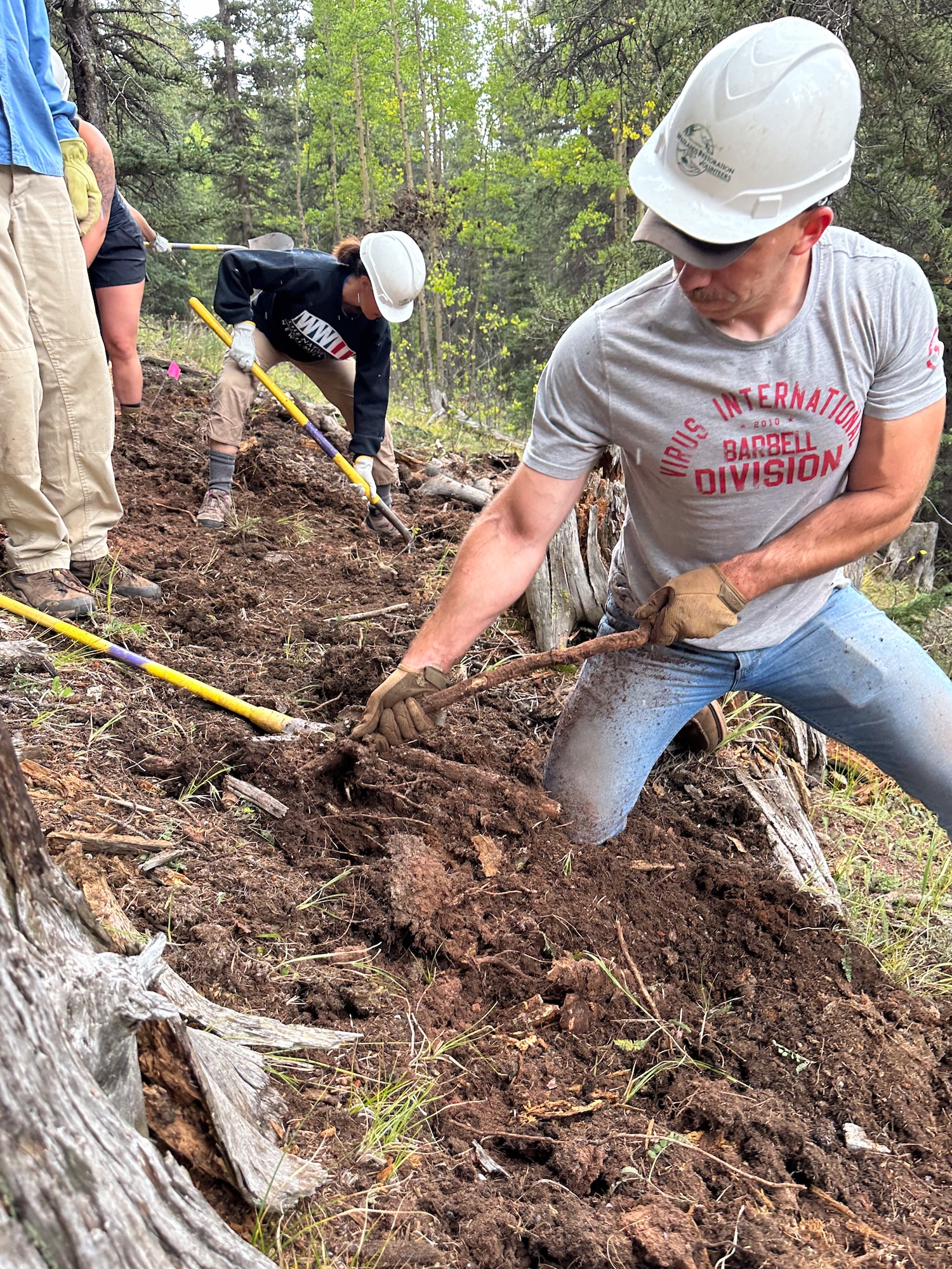 A man kneeling in the dirt, ripping a tree root from the ground.
