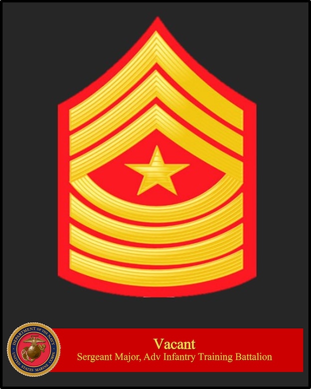 AITB Vacant SgtMaj Bio/Photo