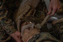 A U.S. Marine Corps recruit with Lima Company, 3rd Recruit Training Battalion, demonstrates the proper technique for an open fracture in a tactical combat casualty care class for recruits with Lima Company, 3rd Recruit Training Battalion, at Marine Corps Recruit Depot San Diego, California, Nov. 5, 2024. TCCC is a three-phase approach to casualty management, ensuring the appropriate medical care is given at the correct time and place during any necessary scenario. (U.S. Marine Corps photo by Lance Cpl. Jacob B. Hutchinson)