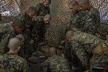 U.S. Marine Corps recruits with Lima Company, 3rd Recruit Training Battalion, practice proper life-saving techniques during in a tactical combat casualty care class for recruits with Lima Company, 3rd Recruit Training Battalion, at Marine Corps Recruit Depot San Diego, California, Nov. 5, 2024. TCCC is a three-phase approach to casualty management, ensuring the appropriate medical care is given at the correct time and place during any necessary scenario. (U.S. Marine Corps photo by Lance Cpl. Jacob B. Hutchinson)