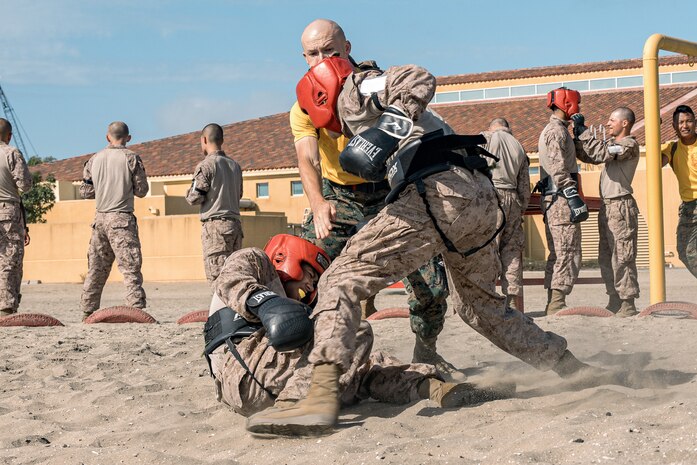 U.S. Marine Corps recruits with Fox Company, 2nd Recruit Training Battalion, participate in a body sparring event at Marine Corps Recruit Depot San Diego, California, Oct. 28, 2024. Recruits are taught Marine Corps Martial Arts Program techniques that instill basic self-defense that they will execute throughout recruit training during events like body sparring and pugil sticks to help build a warrior ethos and esprit de corps. (U.S. Marine Corps photo by Cpl. Sarah M. Grawcock)