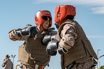 U.S. Marine Corps recruits with Fox Company, 2nd Recruit Training Battalion, participate in a body sparring event at Marine Corps Recruit Depot San Diego, California, Oct. 28, 2024. Recruits are taught Marine Corps Martial Arts Program techniques that instill basic self-defense that they will execute throughout recruit training during events like body sparring and pugil sticks to help build a warrior ethos and esprit de corps. (U.S. Marine Corps photo by Cpl. Sarah M. Grawcock)