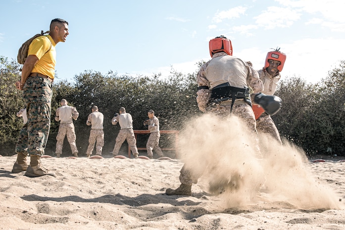 U.S. Marine Corps Staff Sgt. Deltoro, left, a drill instructor with Fox Company, 2nd Recruit Training Battalion, observes a body sparring event at Marine Corps Recruit Depot San Diego, California, Oct. 28, 2024. Recruits are taught Marine Corps Martial Arts Program techniques that instill basic self-defense that they will execute throughout recruit training during events like body sparring and pugil sticks to help build a warrior ethos and esprit de corps. (U.S. Marine Corps photo by Cpl. Sarah M. Grawcock)