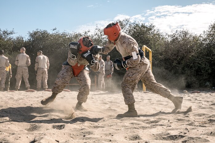 U.S. Marine Corps recruits with Fox Company, 2nd Recruit Training Battalion, participate in a body sparring event at Marine Corps Recruit Depot San Diego, California, Oct. 28, 2024. Recruits are taught Marine Corps Martial Arts Program techniques that instill basic self-defense that they will execute throughout recruit training during events like body sparring and pugil sticks to help build a warrior ethos and esprit de corps. (U.S. Marine Corps photo by Cpl. Sarah M. Grawcock)
