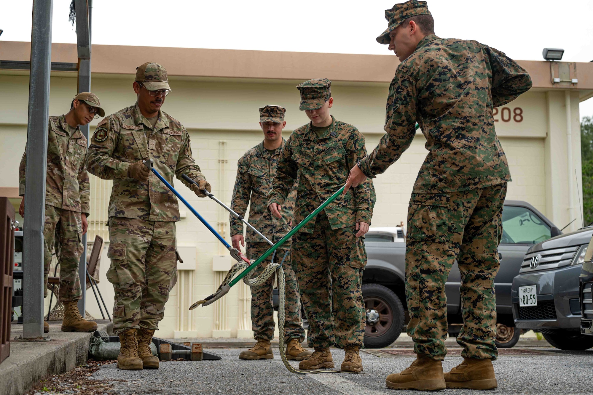 U.S. Air Force Airman 1st Class Jose Lopez Loya, left, 18th Civil Engineer Squadron pest management journeyman, trains U.S. Navy 3d Medical Battalion Seamen, to handle Taiwanese Beauty snakes during a subject matter expert exchange at Kadena Air Base, Japan, Nov. 20, 2024.
