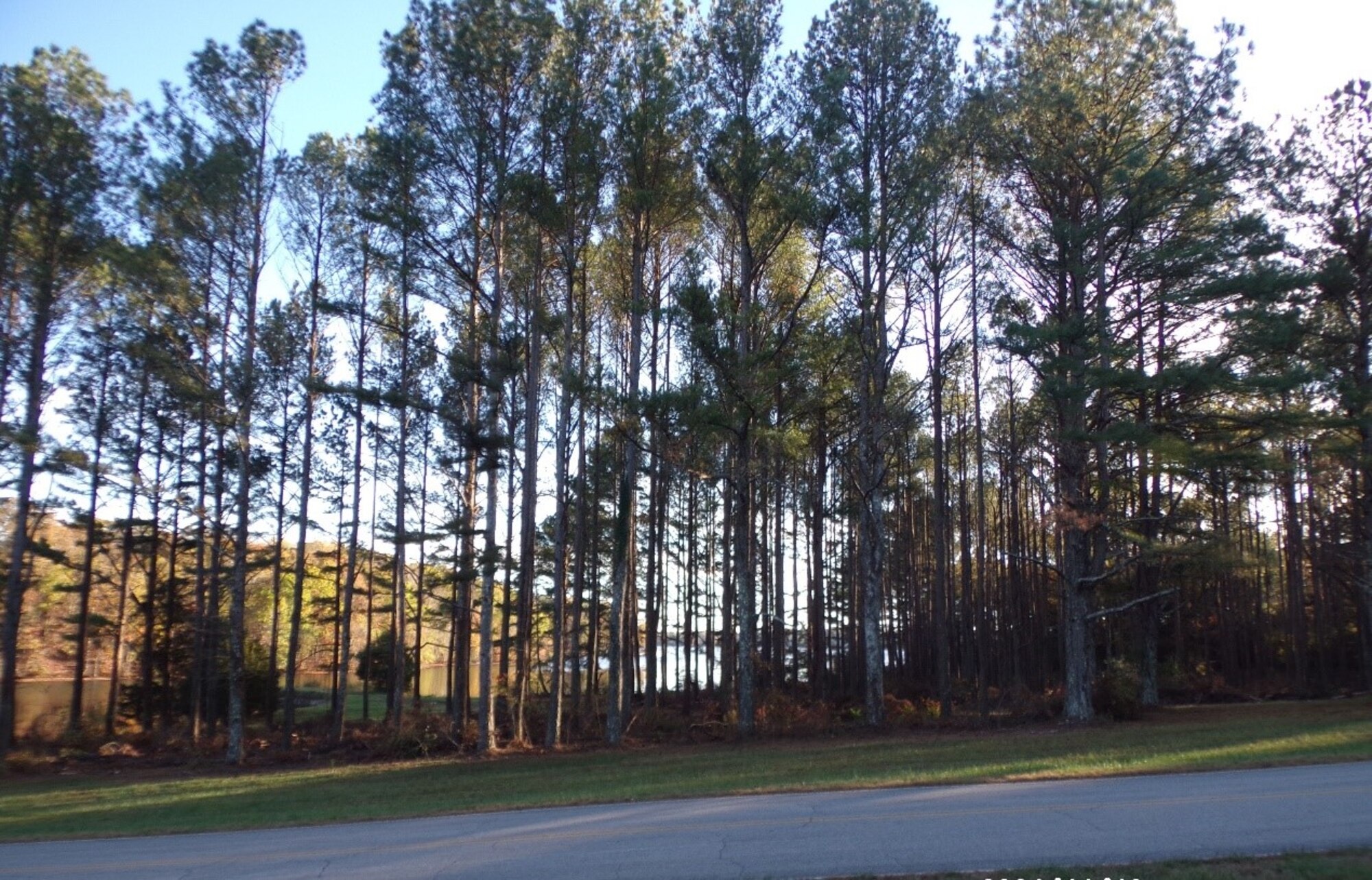This area of Arnold Air Force Base, Tenn., was recently thinned along Northshore Road. Arnold AFB manages all its forests with a sustainable approach that recognizes the need to provide mission support while producing forest products and other ecosystem services, and the future need to ensure that these resources are available to the next generation. (Courtesy photo)