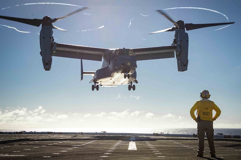 An Osprey aircraft lands on a ship while a sailor watches.