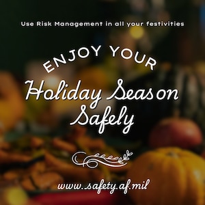 Enjoy your Holiday Season Safely