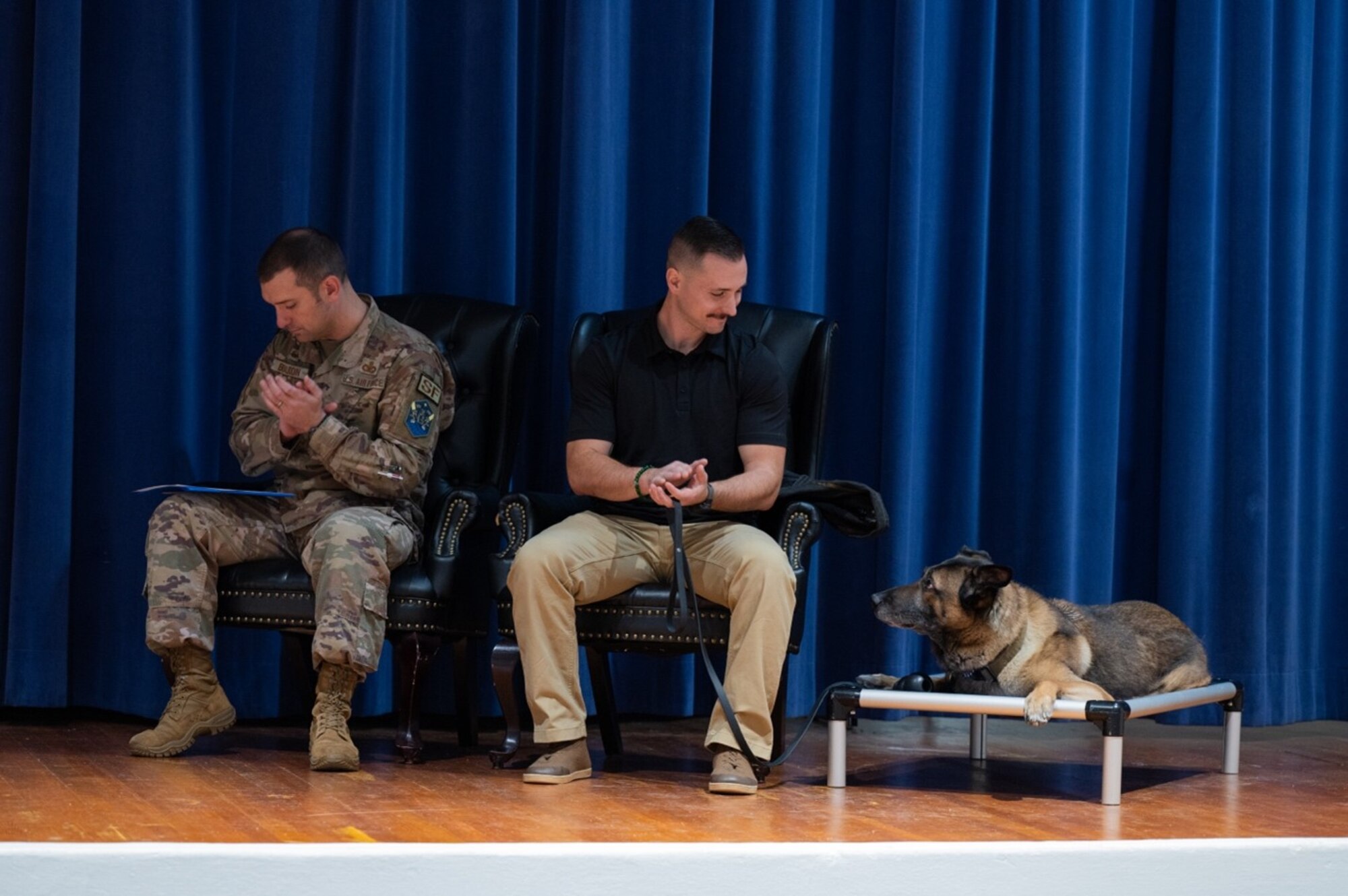 Military working dog and his handler sit on stage with a military member.