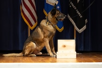 Dog sits on stage during retirement ceremony.