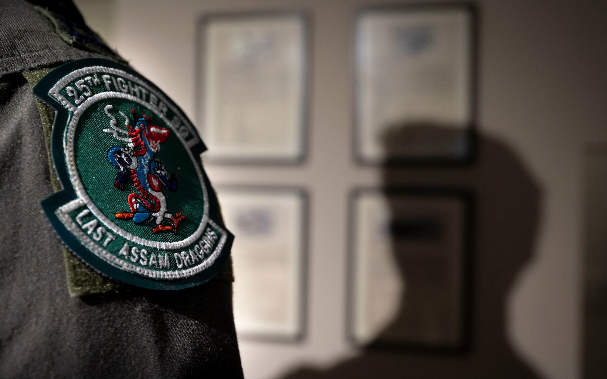U.S. Air Force Capt. Noah Evans, 25th Fighter Squadron pilot, admires “The Hump WWII Museum Pasighat” museum at Assam, India, Sept. 15, 2024. Evans reflects and admires the history of the 25th FS, adding that the mission set focuses on supporting and integrating with friendly ground troops; everything revolves around protecting and serving others. (U.S. Air Force photo by Senior Airman Sabrina Fuller-Judd)