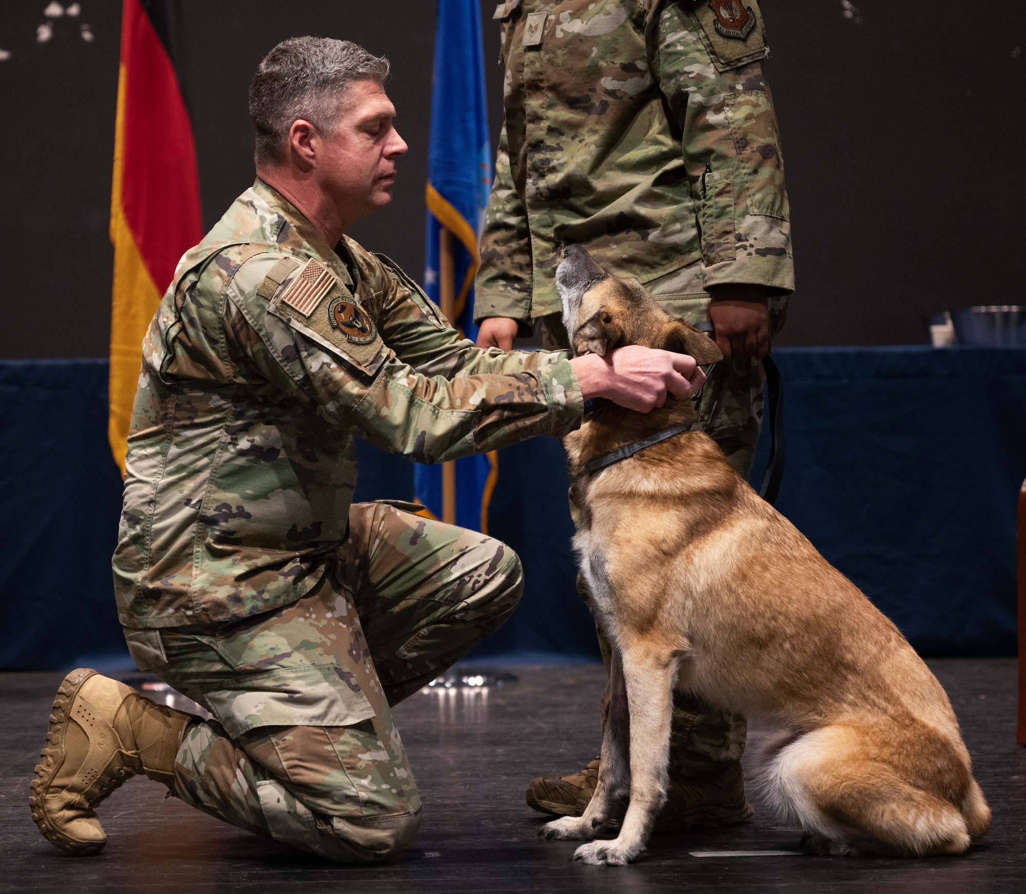 Man puts collar on military working dog