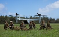U.S. Marines with 3d Littoral Combat Team, 3d Marine Littoral Regiment, 3d Marine Division, post security after an air insert onto Marine Corps Training Area Bellows, Hawaii, Nov. 13, 2024. The air insert was part of a multi-day sensing and surveillance exercise aimed at increasing the proficiency and cooperability of all parts of 3d LCT’s intelligence section. (U.S. Marine Corps photo by Sgt. Jacqueline C. Parsons)