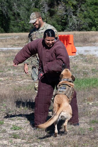 An Argentine Air Force Academy cadet in a bite suit is bitten by Dorie, 96th Security Forces military working dog
