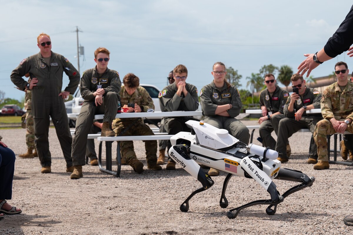 Airmen watch a robot dog.