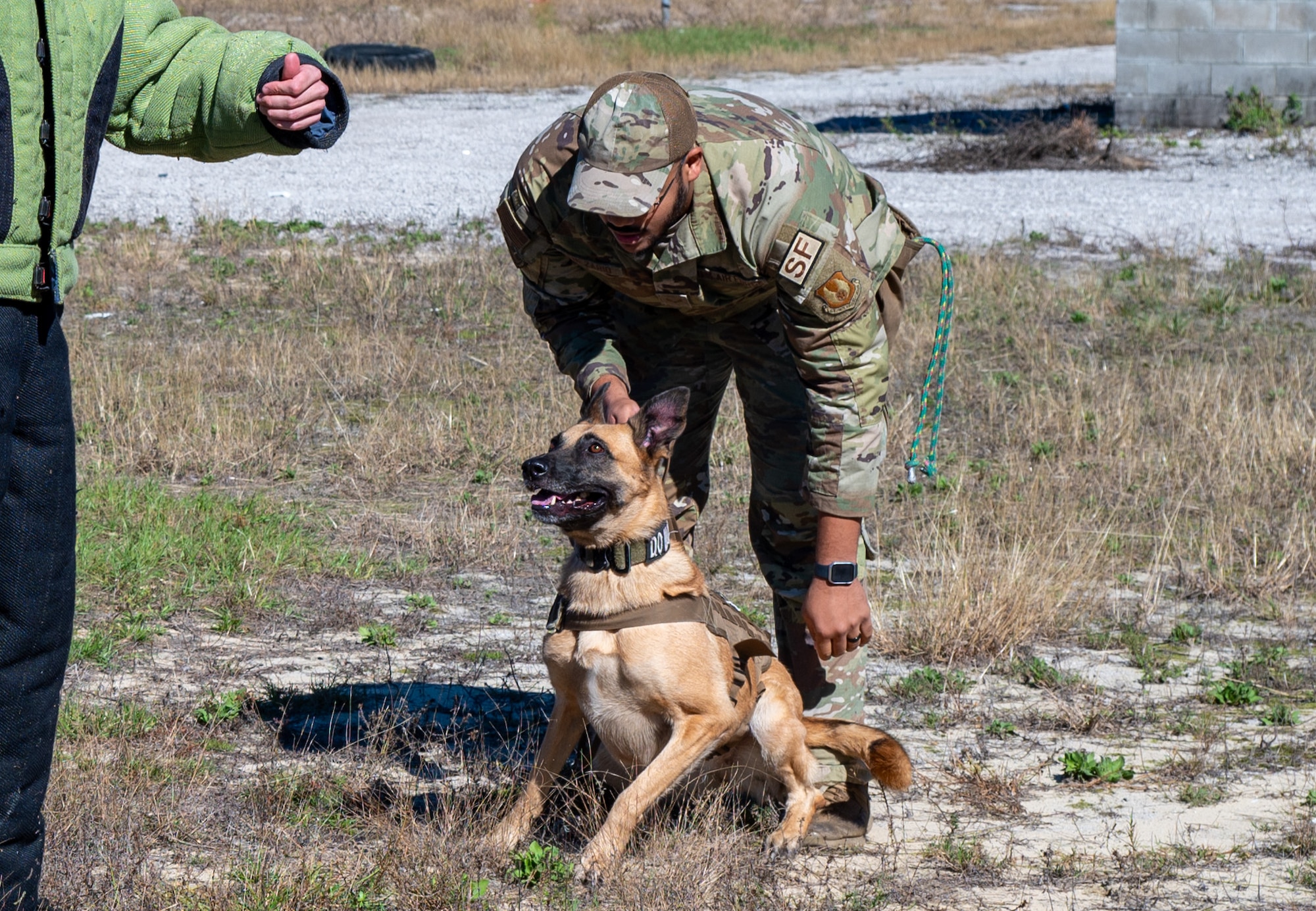 Dorie, 96th Security Forces Squadron military working dog, locks onto an Argentine Air Force Academy cadet in a bite suit