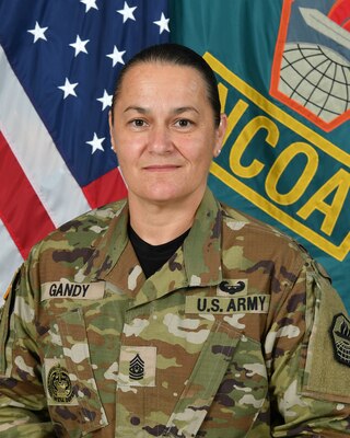 Official photo of Noncommissioned Officer Academy Command Sergeant Major Lisa M. Gandy