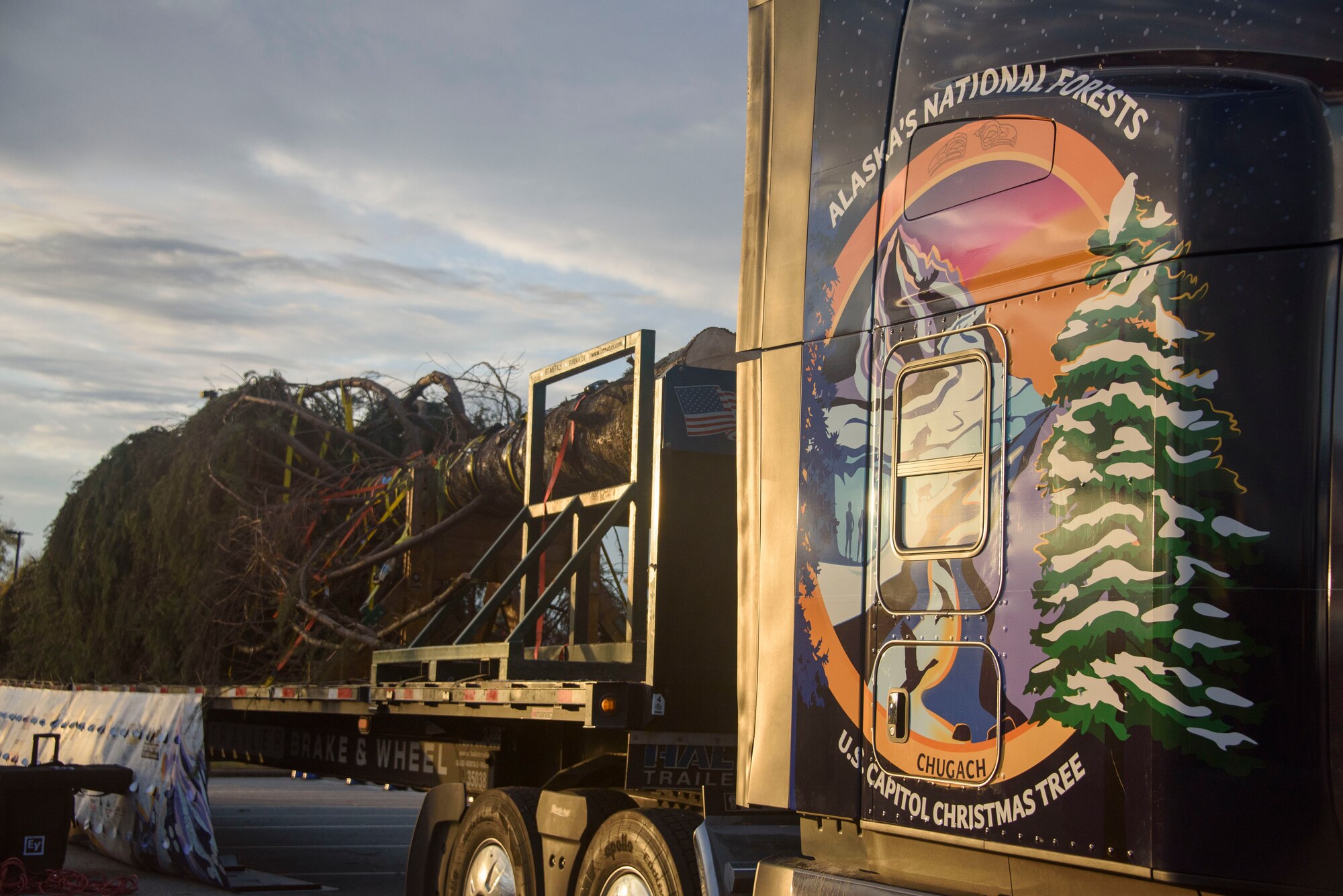 Capitol Christmas Tree Event