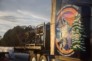 Capitol Christmas Tree Event