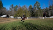 Photo of U.S. Air Force Senior Airman Analie Choquette, a Transportation Movement Operations Specialist assigned to the 158th Fighter Wing, riding her horse, Prada, at a horse farm in Orange, Vermont, Nov. 17, 2024.