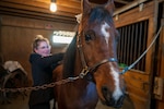 Photo of U.S. Air Force Senior Airman Analie Choquette, a Transportation Movement Operations Specialist assigned to the 158th Fighter Wing, preparing her horse, Prada, for a ride at a barn in Orange, Vermont, Nov. 17, 2024.