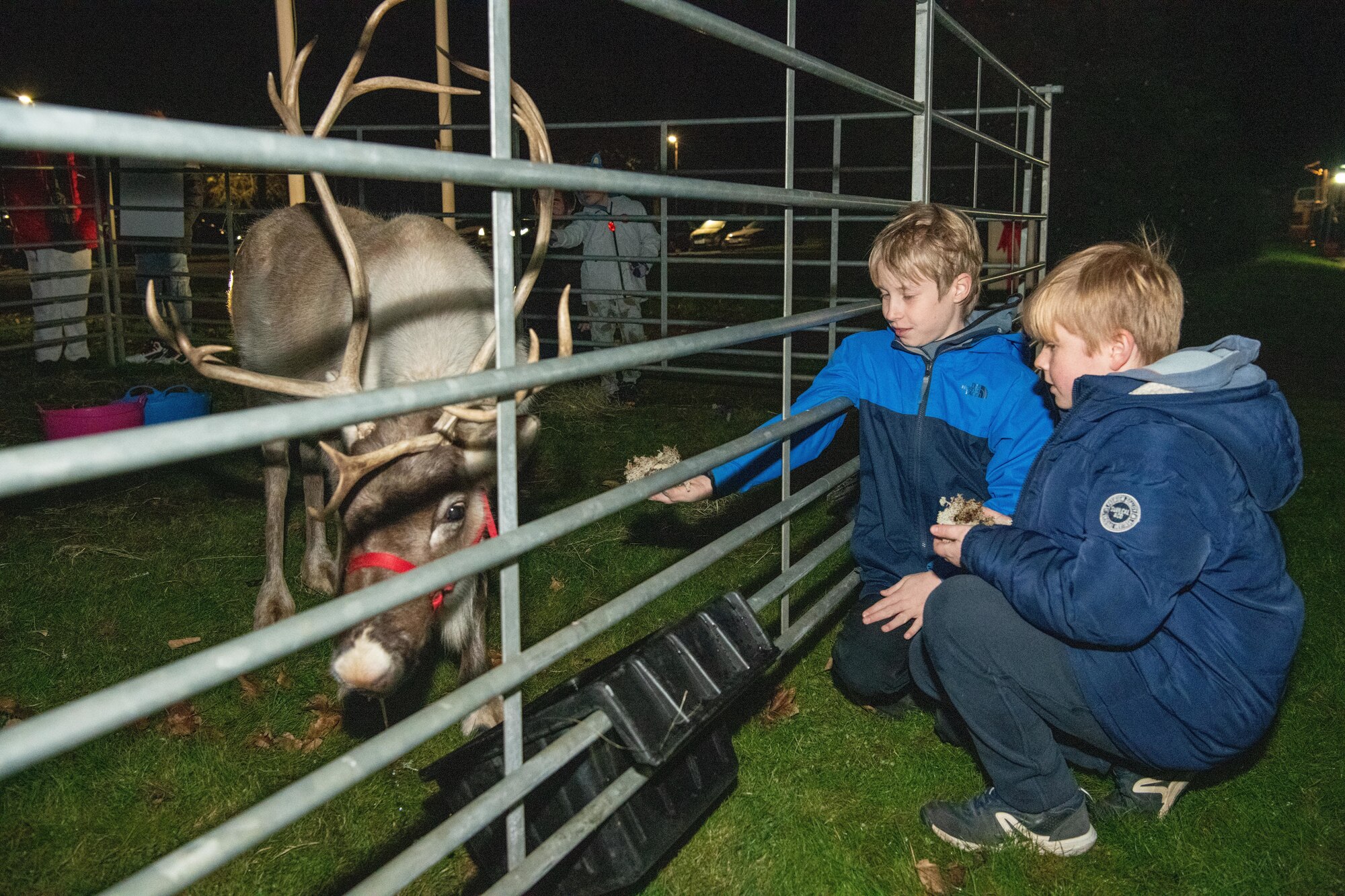 Children attempt to feed a reindeer during a holiday market