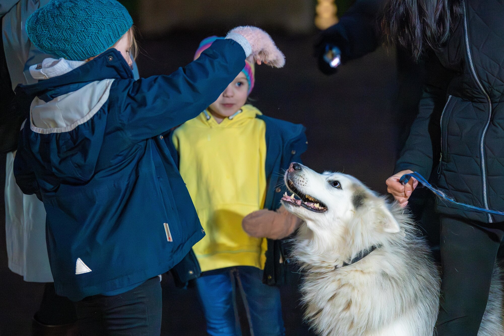 Children play with a dog at a holiday market