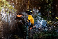 Department of Defense wildland firefighting response in Idaho