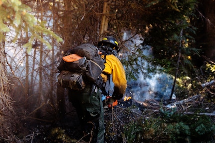 Department of Defense wildland firefighting response in Idaho