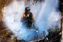 Department of Defense wildland firefighting response in Idaho