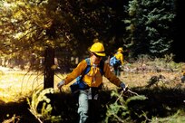 Department of Defense wildland firefighting response in Idaho