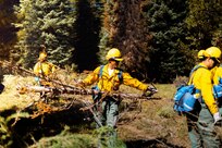 Department of Defense wildland firefighting response in Idaho