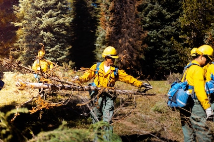 Department of Defense wildland firefighting response in Idaho
