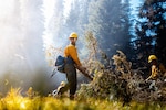 DOD Wildland Firefighting Response