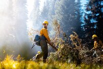 DOD Wildland Firefighting Response
