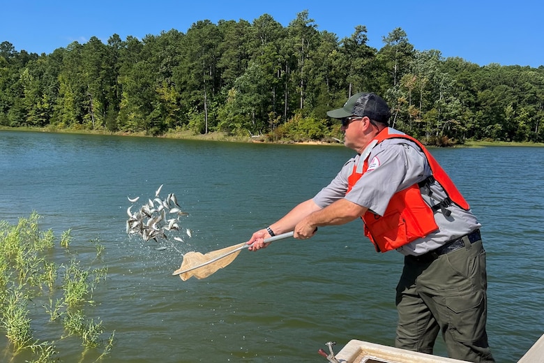 Photo of a parker ranger using a net to release juvenile large-mouth bass into Russell Lake.