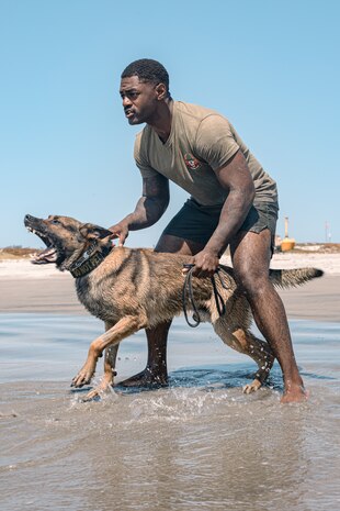 U.S. Marine Corps Cpl. Malachi Groff, a military working dog handler with the Provost Marshal's Office, Headquarters and Service Battalion, Marine Corps Recruit Depot San Diego, executes patrol training with MWD Tevez at Naval Air Station North Island San Diego, California, Sept. 10, 2024. Beach training is conducted to enhance military working dogs’ ability to operate in different environments. (U.S. Marine Corps photo by Cpl. Sarah M. Grawcock)