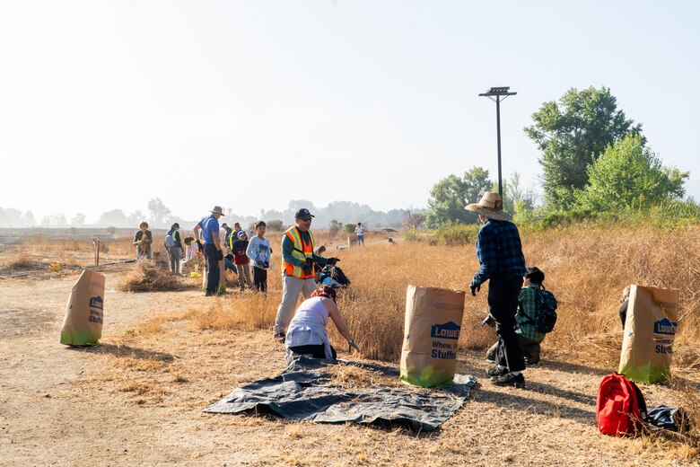 Volunteers remove invasive black mustard plants during a National Public Lands Day event Sept. 28 at Sepulveda Basin in Los Angeles. During the dry season, the plant becomes very flammable and can cause fires.