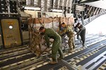 Members of the North Carolina Air National Guard transport more than 100,000 pounds of essential goods to Western North Carolina in support of humanitarian efforts following Hurricane Helene. The cargo, delivered aboard a C-17 Globemaster III, included more than 48 pallets of water, Meals Ready to Eat and other vital supplies.