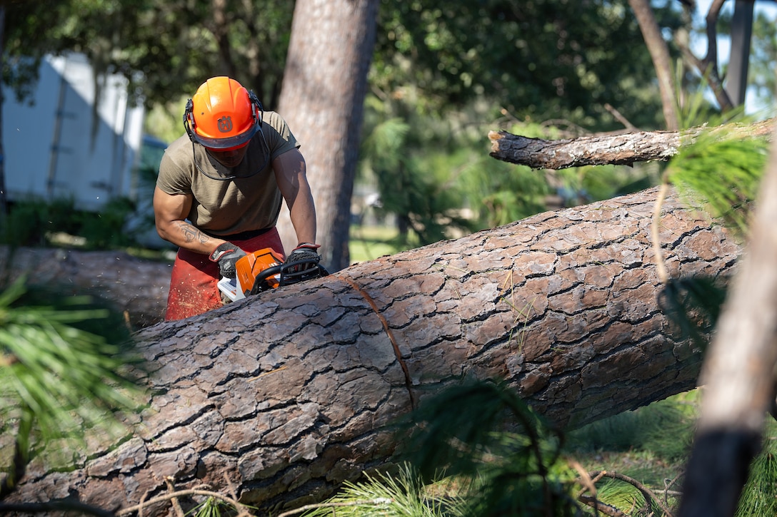 An airman wearing a hard hat leans forward to saw a large fallen tree on a sunny day.