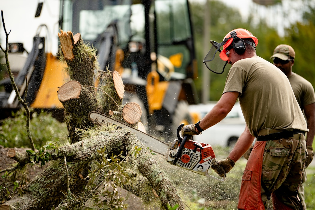 Person cutting fallen tree with chainsaw