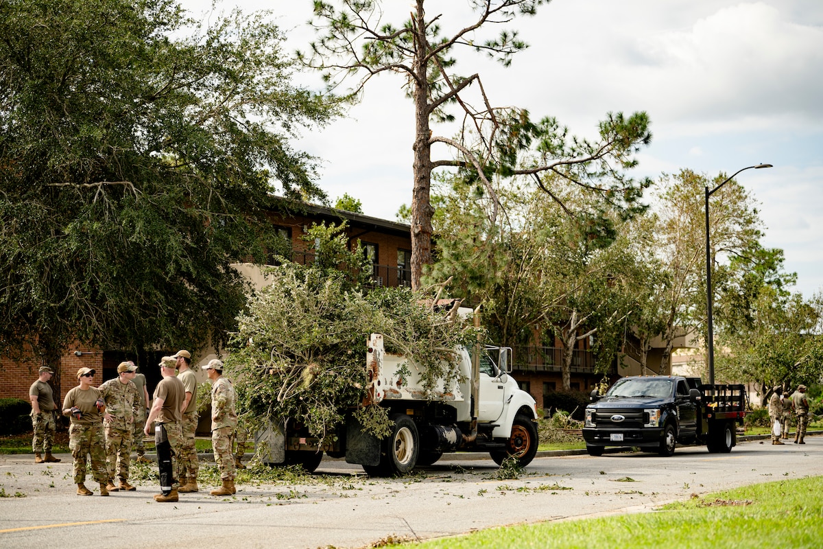 People loading a truck with tree limbs