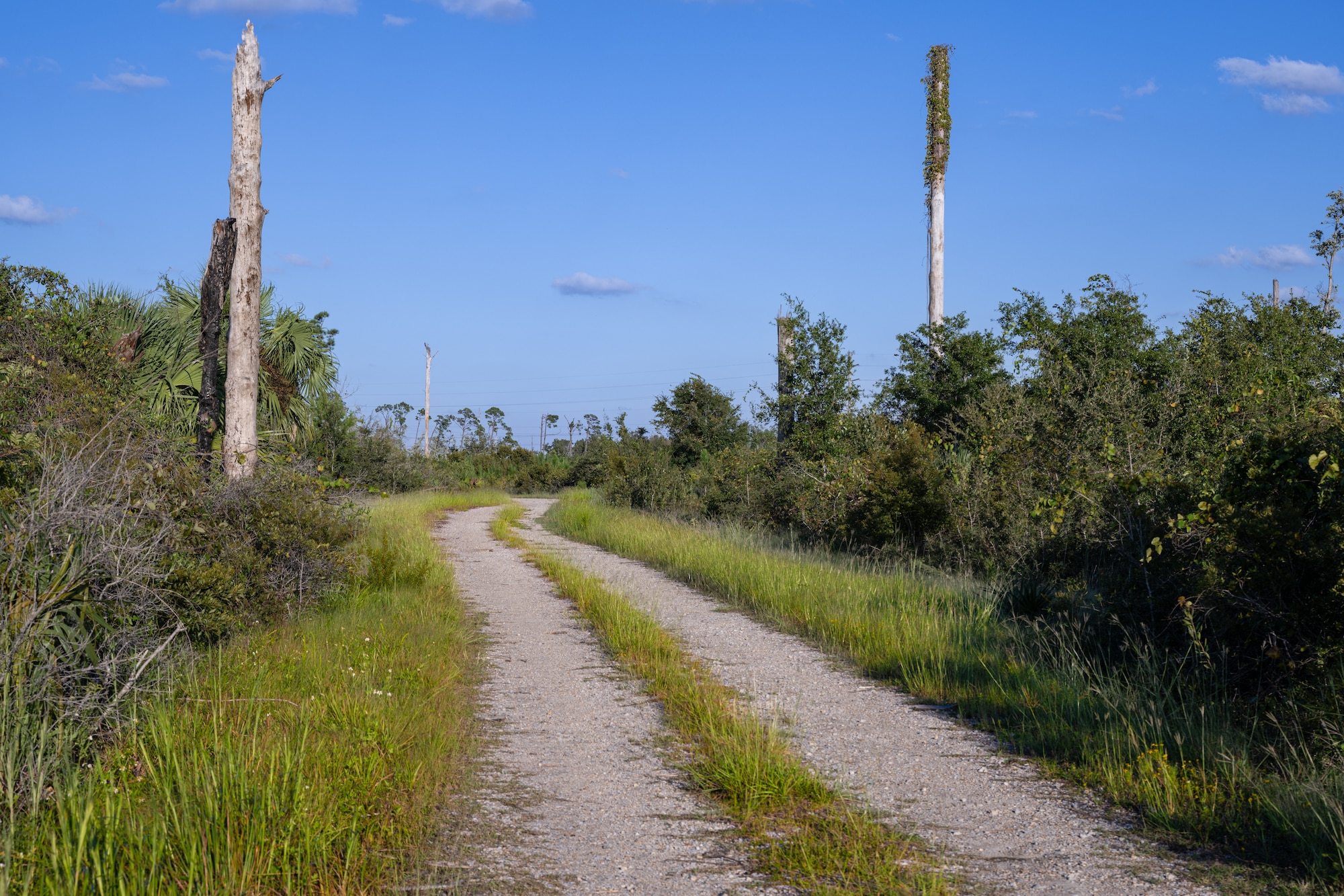 A trail leads off into the distance