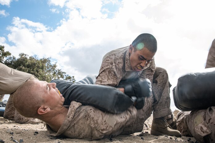 U.S. Marine Corps Recruits Robert Molina and Tristen Platt, both with Alpha Company, 1st Recruit Training Battalion, execute grounded elbow strikes during the combat conditioning course at Marine Corps Recruit Depot San Diego, California, Sept. 17, 2024. The CCX is designed to increase recruits’ stamina and ability to perform Marine Corps Martial Arts Program techniques. (U.S. Marine Corps photo by Cpl. Sarah M. Grawcock)